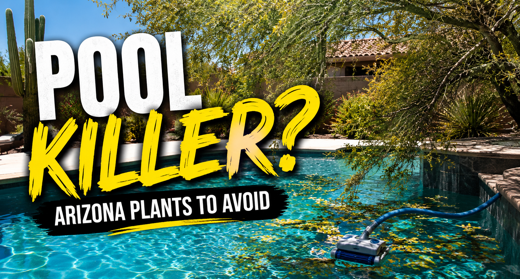 What Plants Should You Never Put Near a Pool in Arizona?