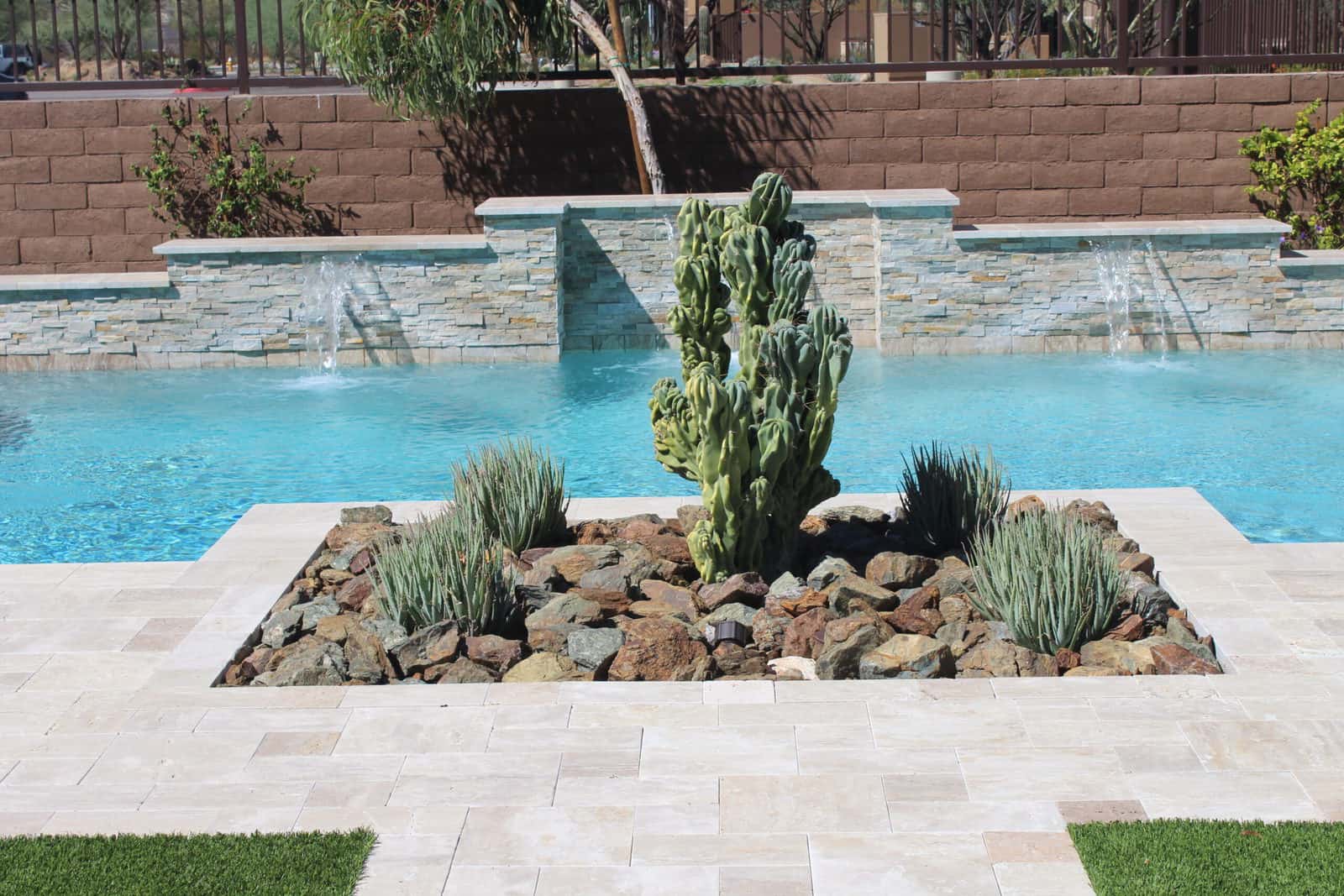 Shrubs For Saler Pools, Arizona Pool Landscaping Plants
